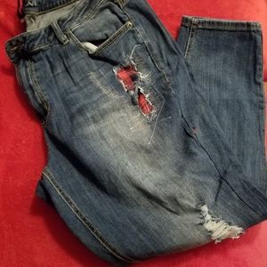 Size 22 Lane Bryant distress jeans